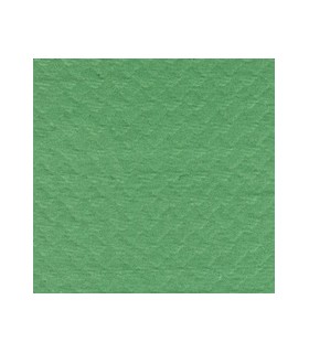 Mantel de papel cortado blanco 120,0 x 120,0 cm 42 g/m²  fondo color verde